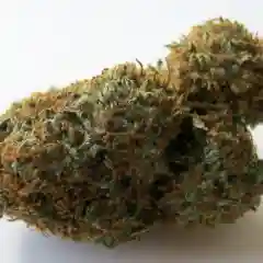 Platinum Bubba Kush Marijuana Strain