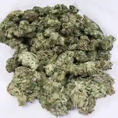 Platinum Bubba Kush marijuana