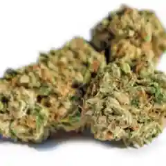 Pluto Kush marijuana