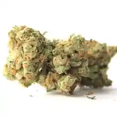 Popcorn Kush marijuana