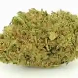 Pot of Gold Marijuana Strain