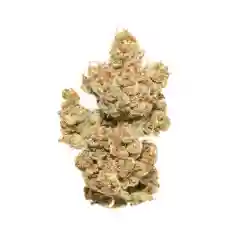 Pot of Gold marijuana