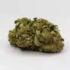 Pre 98 Bubba Kush marijuana