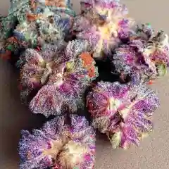 Purple Candy Marijuana Strain