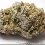 Purple Cream Marijuana Strain