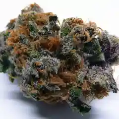 Purple Cream marijuana