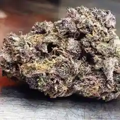 Purple Dream Marijuana Strain