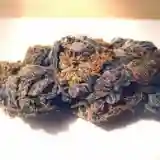 Purple OG Kush marijuana