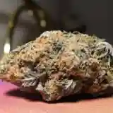 Purple Skunk Marijuana Strain