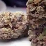 Purple Trainwreck Marijuana Strain