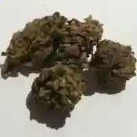 Redwood Kush Marijuana Strain