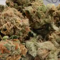 Romulan Marijuana Strain
