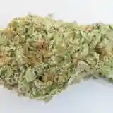 SFV OG Kush - San Fernando Valley OG Kush Marijuana Strain