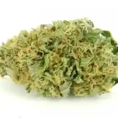 Sour Bubble Marijuana Strain