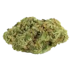 Sour Cheese Marijuana Strain