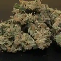 Sour Diesel Marijuana Strain