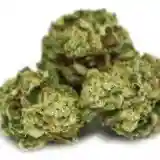 Sour Dubble - Sour Dubb Marijuana Strain