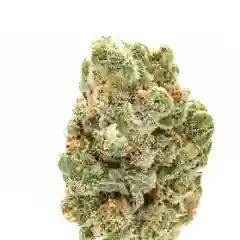 Strawberry Fields Marijuana Strain