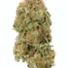 Strawberry Kush marijuana