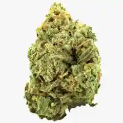 Super Blue Dream Marijuana Strain