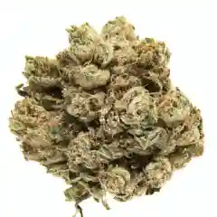 Superman OG marijuana