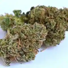 Sweet Diesel Marijuana Strain