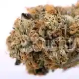 Tahoe Alien Marijuana Strain