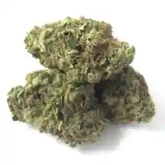 Tahoe OG - Tahoe OG Kush marijuana