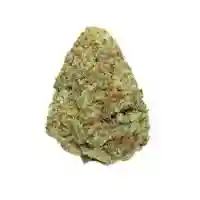 The Cube Marijuana Strain