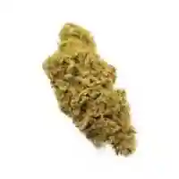 Timewreck Marijuana Strain
