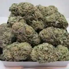 Trainwreck Marijuana Strain