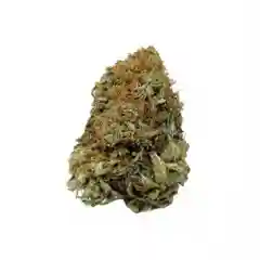 Ultimate Trainwreck Marijuana Strain