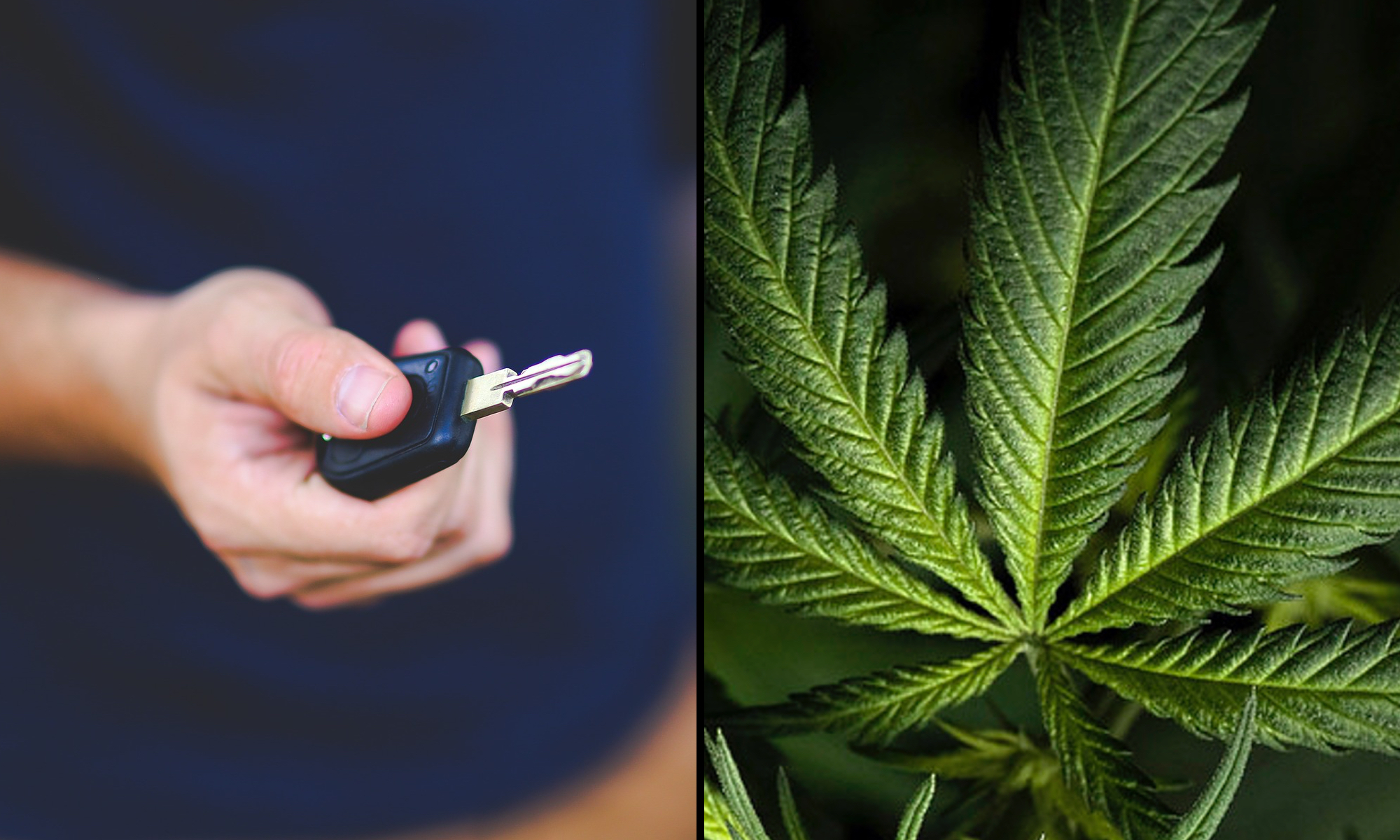 New Pennsylvania Bill May Need Proof of Impairment in Medical Marijuana DUIs