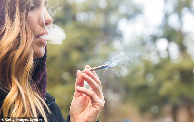 Higher Levels Of THC May Not Mean That You Will Get Higher